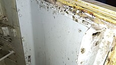 Státní zem�d�lská a potraviná�ská inspekce uzav�ela �ínskou restauraci na...