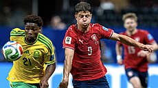 Adam Hlo�ek se probíjí p�es bránícího Jihoafri�ana.