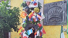 Guadalajara �ije fotbalem.
