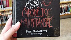 Kamenný chrli� z Karlova mostu se dostal do kni�ní trilogie o �arod�jkách z...