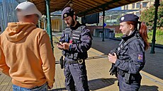 Chlapci se vezli na sp�áhle nedávno, hazardér na snímku riskoval p�ed dv�ma lety