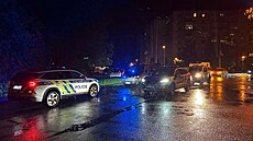 Po �en� pátraly v Brani�ovském lese na okraji sídli�t� Máj desítky policist� a...
