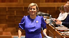 Jana Mra�ková Vildumetzová na jednání Senátu (17. �ervna 2026)