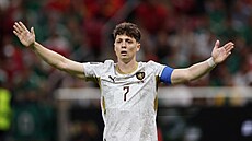 Ladislav Krej�í gestikuluje b�hem zápasu na mistrovství sv�ta proti Ji�ní Koreji