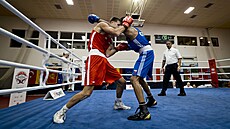 Ústí nad Labem, 18. 06. 2026, Velká cena Ústí nad Labem v boxu, 56. ro�ník,...