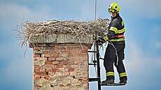 Poran�né mlád� sundali z komína profesionální hasi�i z Chebu. (15. �ervna 2026)