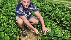 Pavel Draho� na své farm� v Dolním Újezdu na Svitavsku vyhlí�í za�átek...