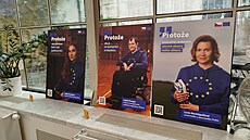 �éfka Zastoupení Evropské komise v �esku Monika Ladmanová chce benefity...