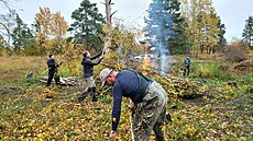 Dobrovolníci pomáhali v p�írodní památce Na Placht� s odstra�ováním nálet�....