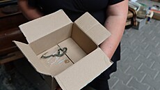 U�ovka obojková se p�ilepila na kus lepenky, vysvobodit ji musel zví�ecí...