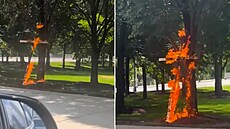 Policie vy�et�uje ho�ící k�í� v centru Chicaga, symbol spjatý s Ku Klux Klanem