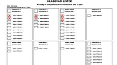 Hlasy rozd�len� pro kandid�ty nap��� stranami.