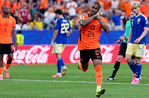 World Cup Football: Netherlands Faces Tunisia, Ecuador Needs to Beat Germany