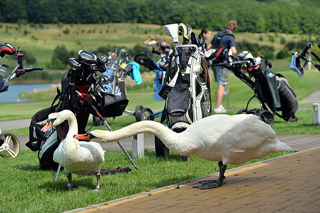 Golf resort Kaskáda celebrates twenty years