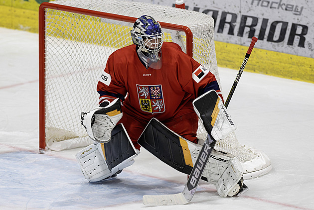 Record Czech goalie prospects eye NHL draft: Coaches explain the surge