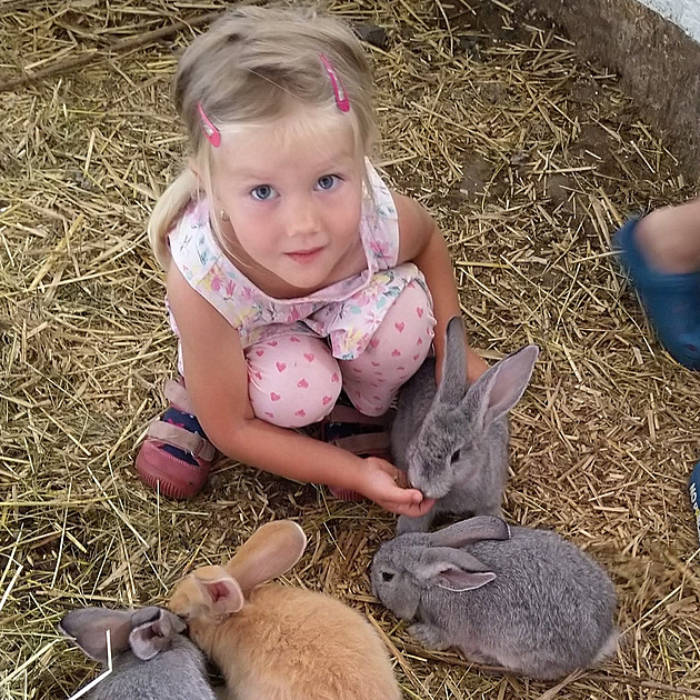 Na středočeském statku mají mix domácích i exotických zvířat. Takovou privátní zoo