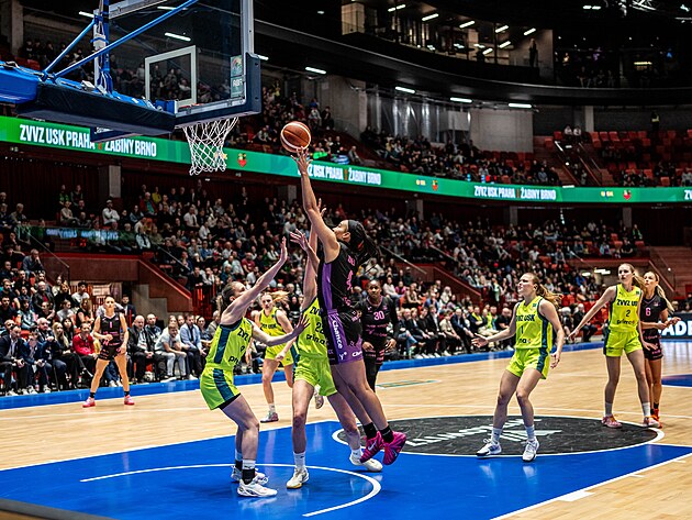 Jihlava'daki Horácká Arena'da USK Prag ile Žabin Brno arasındaki maç.