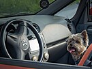 Mitsubishi kempování v Kempu Fousek v Dráchov�
