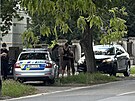 Policisté v Praze zadr�eli podez�elého mu�e, který se pohyboval se zbraní v...