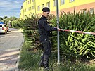 V �elákovicích u Prahy zasahují policisté a zásahová jednotka kv�li ozbrojenému...