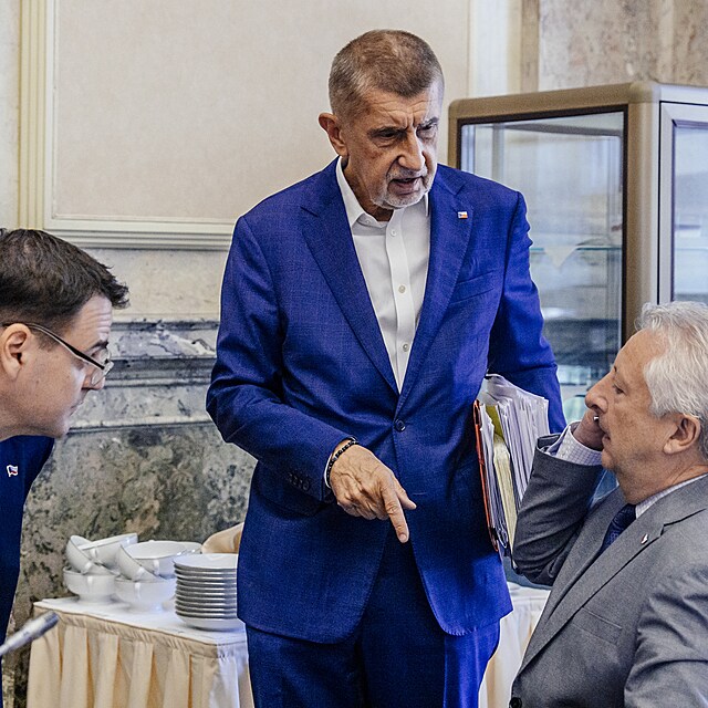Petr Macinka (Motorist�), premi�r Andrej Babi� (ANO) a ministr obrany Jarom�r Z�na (SPD) na zased�n� vl�dy, kter� se bude mimo jin� zab�vat rol� prezidenta Petra Pavla v �esk� delegaci na summitu NATO v Anka�e. (29. �ervna 2026)