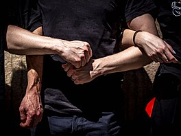 Lidský �et�z kolem �eského rozhlasu má �ubránit� instituci p�ed státními...