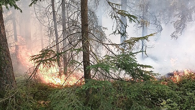Na Jindřichohradecku hořely čtyři hektary lesa. V náročném terénu pomáhali i Rakušané