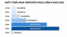 ilustra�ní snímek