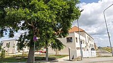 Tehdy a dnes. P�ed p�ti lety se n�kolika obcemi na ji�ní Morav� prohnalo...
