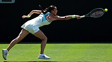 Tereza Valentová se natahuje po mí�ku v prvním kole turnaje v Eastbourne.