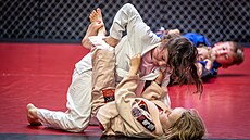 Charita Liberec s místním klubem MMA a dárci podporují d�ti z azylových dom�.