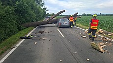 Na auto u �t�pánova na Olomoucku spadl strom, �idi� vyvázl s od�rkami. (23....