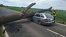 Na auto u �t�pánova na Olomoucku spadl strom, �idi� vyvázl s od�rkami. (23....