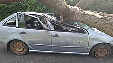 Na auto u �t�pánova na Olomoucku spadl strom, �idi� vyvázl s od�rkami. (23....