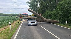 Na auto u �t�pánova na Olomoucku spadl strom, �idi� vyvázl s od�rkami. (23....