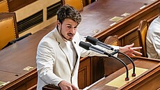 Poslanec Pir&aacute;tů Samuel Volpe hovoř&iacute; na schůzi Poslaneck&eacute; sněmovny při...