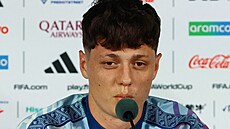Kapitán národního mu�stva Ladislav Krej�í na tiskové konferenci p�ed zápasem na...