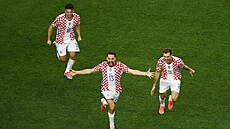 Chorvatský zálo�ník Nikola Vla�i� (uprost�ed) slaví gól do sít� Ghany.