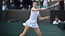 Karolína Plí�ková se p�ipravuje na úder v prvním kole Wimbledonu.