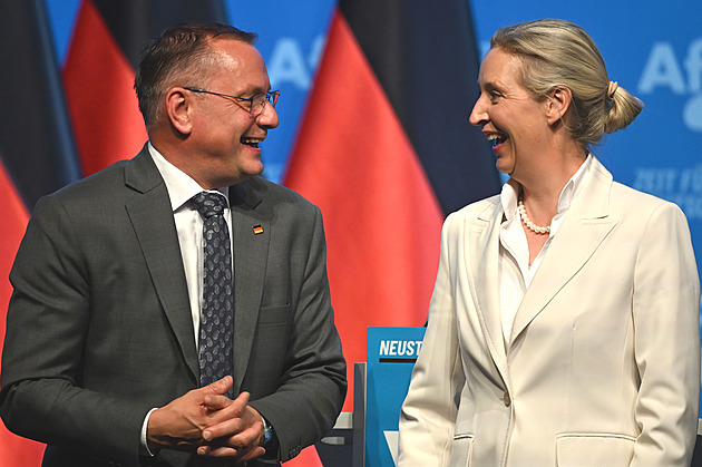 Volíte AfD? Její program nejhůř dopadne právě na vás, varuje Němce studie