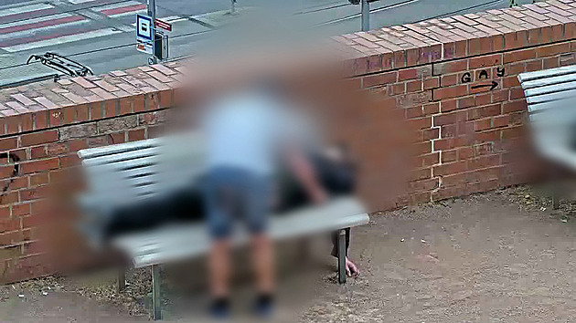 Zloděj okradl muže spícího na lavičce o peněženku. Hlídám mu ji, tvrdil hlídce