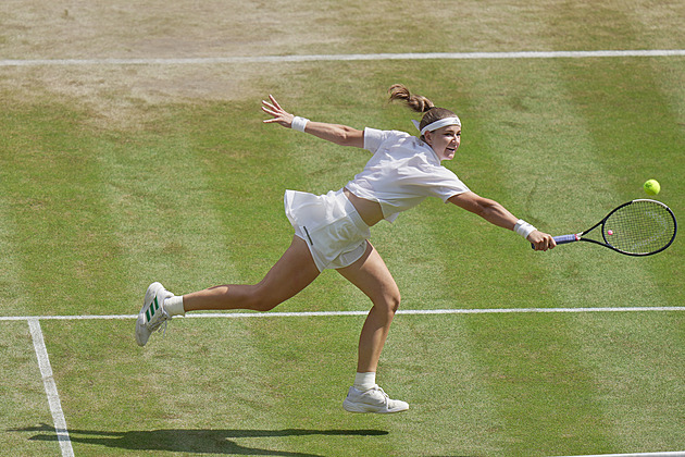 Tom and Sven: Key partners of Wimbledon finalists in their noisy solitude