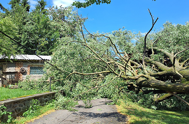 Obcí se prohnal downburst. Ničil střechy, padající stromy trhaly elektrické vedení