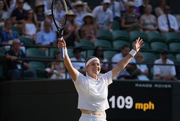 Wimbledon finals: A look back at memorable moments and past champions