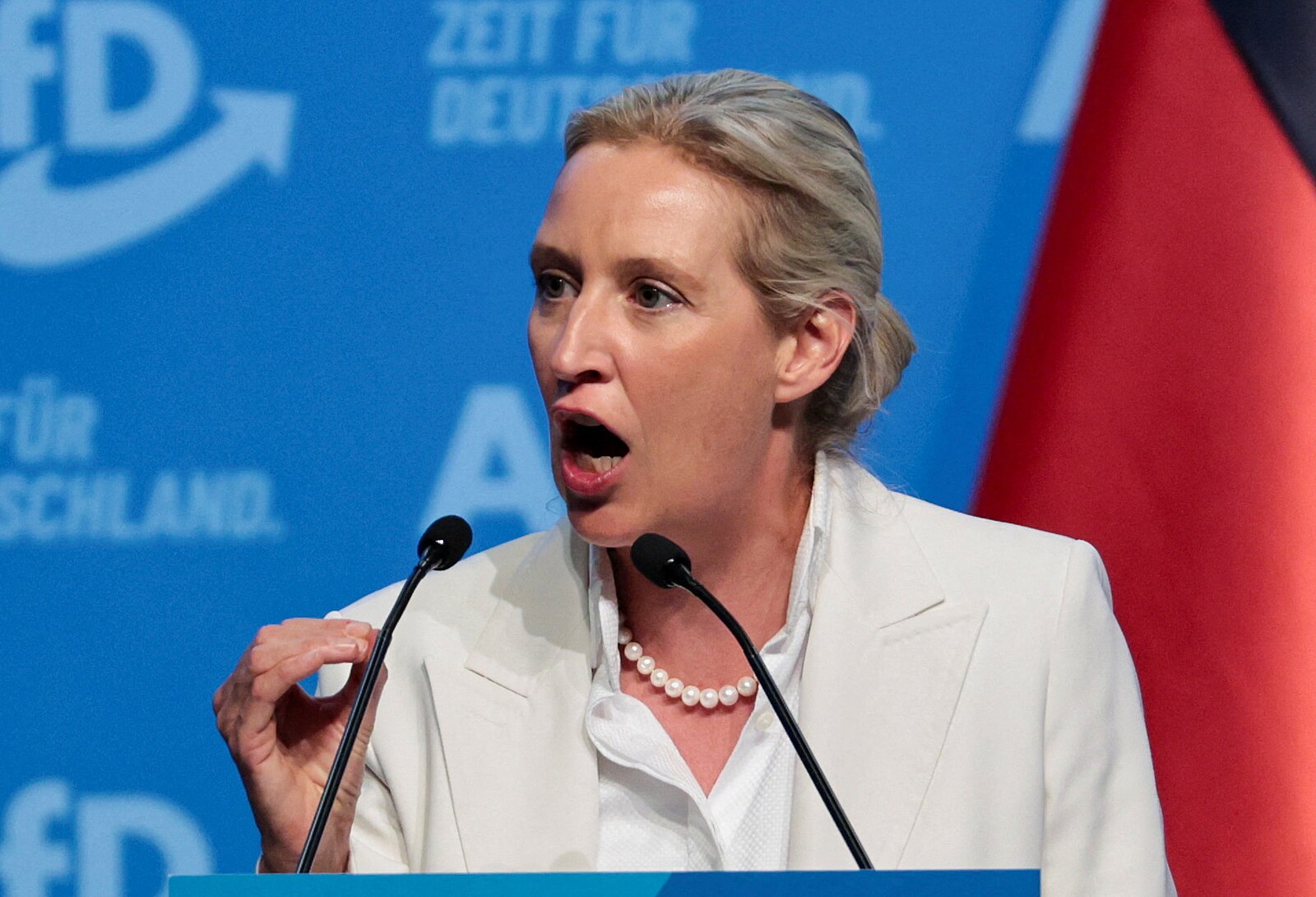 AfD povládne, míní spolušéfka Weidelová. Strana se neshodne na duhových rodinách