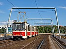 Káté�ka, Kachny, Ka�eny. Tramvaje KT8D5 oslavily 7. �ervence 2026 40 let...