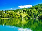 Jen pár krok� od mlýn� se rozprostírá také Plivské jezero, které stojí za...