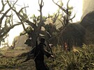 Risen