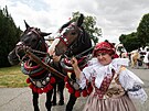Doloplazy na Olomoucku znovu o�ily Jízdou král�. Tradi�ní slavnost p�ilákala...