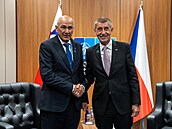 Premiér Andrej Babi� a slovinský premiér Janez Jan�a p�i jednání na summitu...